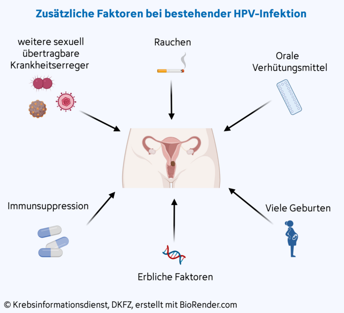 Gebärmutterhalskrebs, Risiko-Ko-Faktoren, © Krebsinformationsdienst, DKFZ; erstellt mit BioRender.com Ko-Risikofaktoren für Gebärmutterhalskrebs bei einer bestehenden HPV-Infektion: Rauchen, Pille, viele Geburten, Immunsuppression, Infektionen, Vererbung