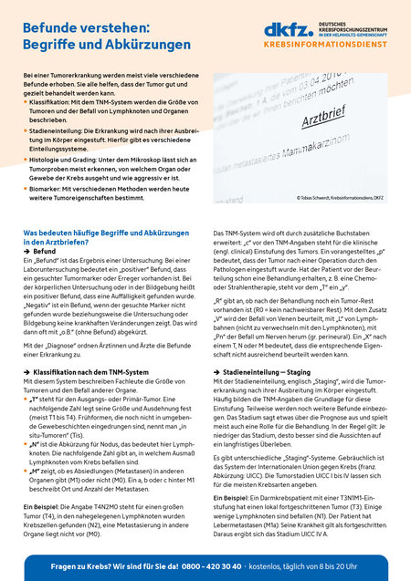 Informationsblatt "Befunde verstehen: Begriffe und Abkürzungen"