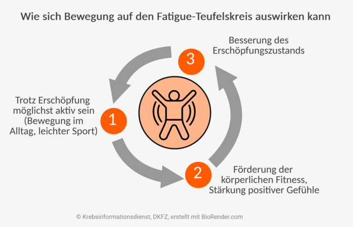 Ausweg aus dem Fatigue-Teufelskreis, © Krebsinformationsdienst, DKFZ; erstellt mit BioRender.com Abbildung eines Kreislaufs mit 3 Punkten: 1. Möglichst aktiv sein, 2. Förderung der körperlichen Fitness 3. Besserung des Erschöpfungszustands. In der Mitte ist eine sich bewegende Person abgebildet.