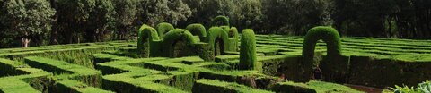 Irrgarten aus grünen Hecken: Den eigenen Weg bei der seelischen Verarbeitung von Krebs finden.