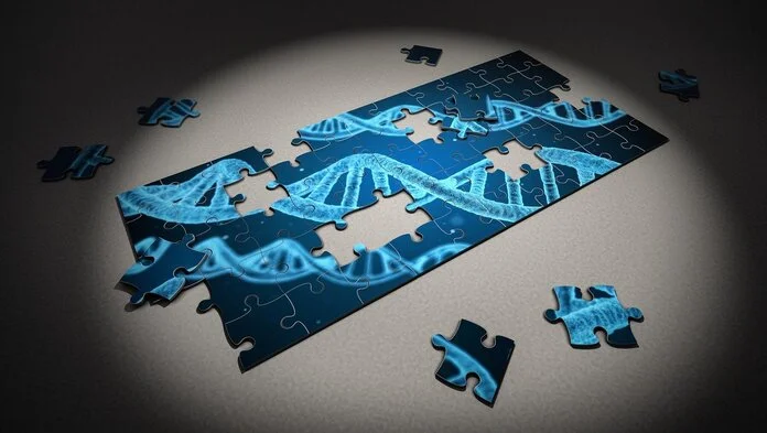 DNA-Helix, © Arek Socha, Pixabay Graphischen Darstellung einer DNA-Helix in Form eines Puzzles.