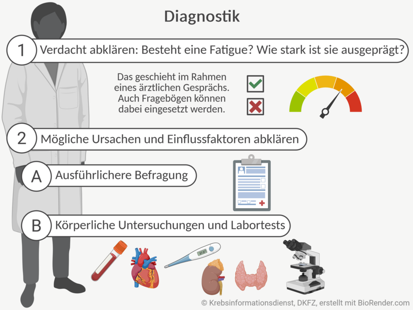 Fatigue-Diagnostik, Krebsinformationsdienst, DKFZ; erstellt mit BioRender.com Grafik eines Arztes, eines medizinischen Clipboards, verschiedener medizinischer Geräte und Körperorgane. Damit wird der Ablauf der Fatigue-Diagnostik beschrieben.