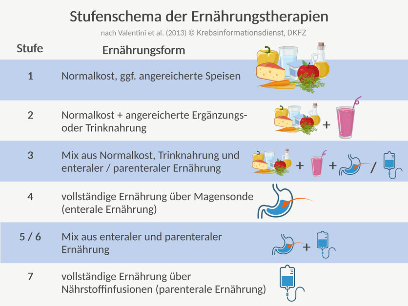 Ernährungstherapie, Stufendiagramm , nach Valentini et al. (2013) © Krebsinformationsdienst, DKFZ; erstellt mit Biorender.com Eine Tabelle zeigt die Stufen 1 bis 7 der Ernährungstherapie. Stufe 1: Normalkost; Stufe 2: Normalkost plus Ergänzungs- oder Trinknahrung; Stufe 3: Kombination aus Normalkost, Trinknahrung und enteraler Ernährung über eine Magensonde oder parenteraler Ernährung über Infusionen; Stufe 4: vollständige enterale Ernährung; Stufen 5 und 6: Kombinationen aus parenteraler und enteraler Ernährung; Stufe 7: vollständig parenterale Ernährung.