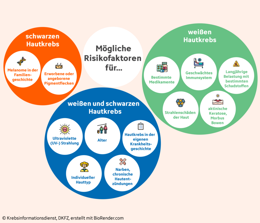 UV-Strahlung ist bei weitem der wichtigste Risikofaktor für Hautkrebs– doch auch andere Faktoren haben einen Einfluss auf das Hautkrebsrisiko einer Person.