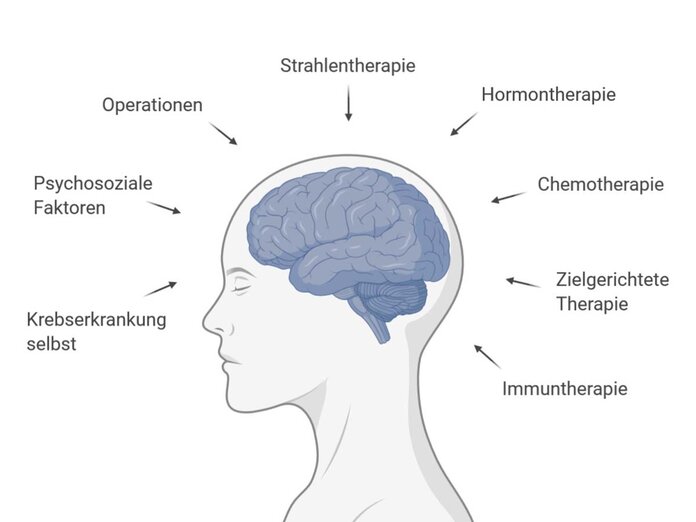 Verschiedene Einflussfaktoren für ein Chemobrain. © Krebsinformationsdienst, DKFZ. Erstellt mit BioRender.com, Krebsinformationsdienst, DKFZ, erstellt mit BioRender.com Verschiedene Einflussfaktoren für ein Chemobrain. © Krebsinformationsdienst, DKFZ. Erstellt mit BioRender.com
