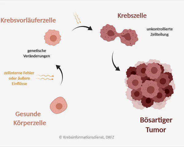 Krebsentstehung, © Krebsinformationsdienst, DKFZ, erstellt mit BioRender.com Krebszelle und DNS-Strang