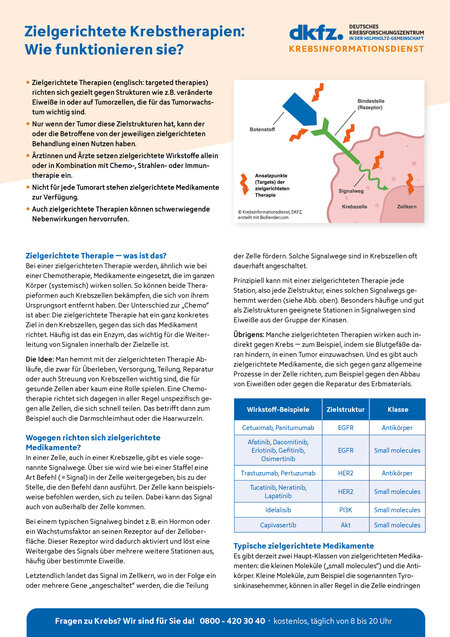 Informationsblatt "Zielgerichtete Krebstherapien: Wie funktionieren sie?"