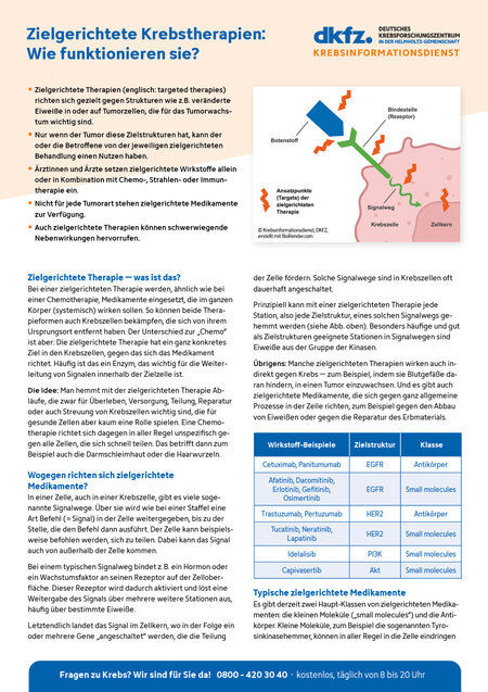 Informationsblatt "Zielgerichtete Krebstherapien: Wie funktionieren sie?"