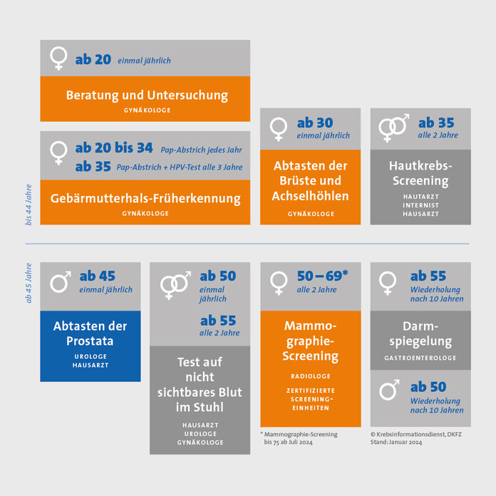 Infografik aller Angebote zur Krebsfrüherkennung in Deutschland.