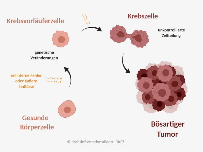 Krebsentstehung, © Krebsinformationsdienst, DKFZ; erstellt mit BioRender.com Grafik mit den verschiedenen Schritten der Krebsentstehung