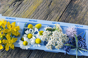 Heilpflanzen im Arzneimittelspender Heilpflanzen im Arzneimittelspender © Sonja Birkelbach, Fotolia