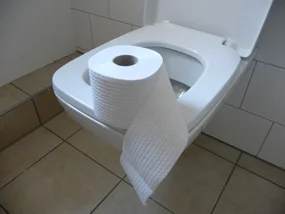 Toilette mit Klopapier, Krebsinformationsdienst, Deutsches Krebsforschungszentrum Toilette mit Klopapier © Krebsinformationsdienst, Deutsches Krebsforschungszentrum