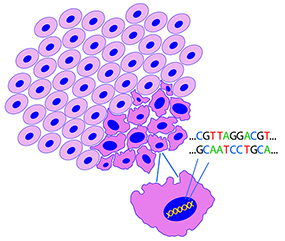 Grafische Darstellung von gesunden Zellen und Tumorzellen samt DNA © Krebsinformationsdienst, Deutsches Krebsforschungszentrum