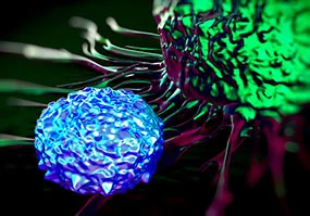 „Invasion des Immunsystems“: Eine T-Zelle greift eine Krebszelle an, royalstockphoto/Thinkstock Graphische Darstellung: Eine T-Zelle greift eine Krebszelle an.