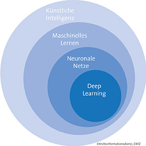 Grafische Darstellung der Fachbegriffe rund um KI, Fachbegriffe rund um Künstliche Intelligenz Grafische Darstellung der Fachbegriffe rund um KI © Krebsinformationsdienst, Deutsches Krebsforschungszentrum