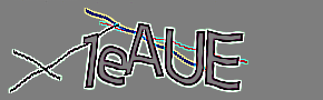 Geben sie die im Bild dargestellte Zeichenfolge ein